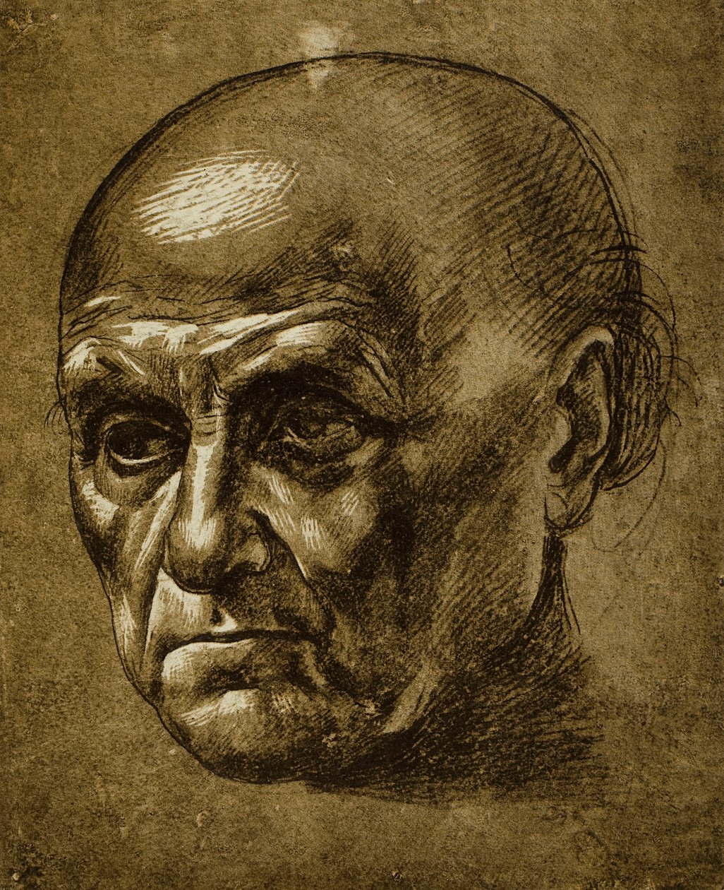 Study of a male face by Leonardo da Vinci