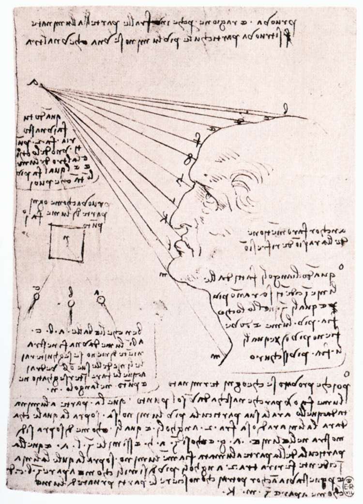 Study of the effect of light on a profile head by Leonardo da Vinci