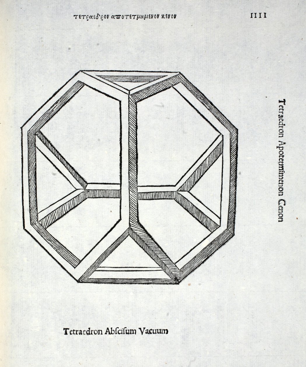 Tetraedron abscisum vacuum, illustration from 