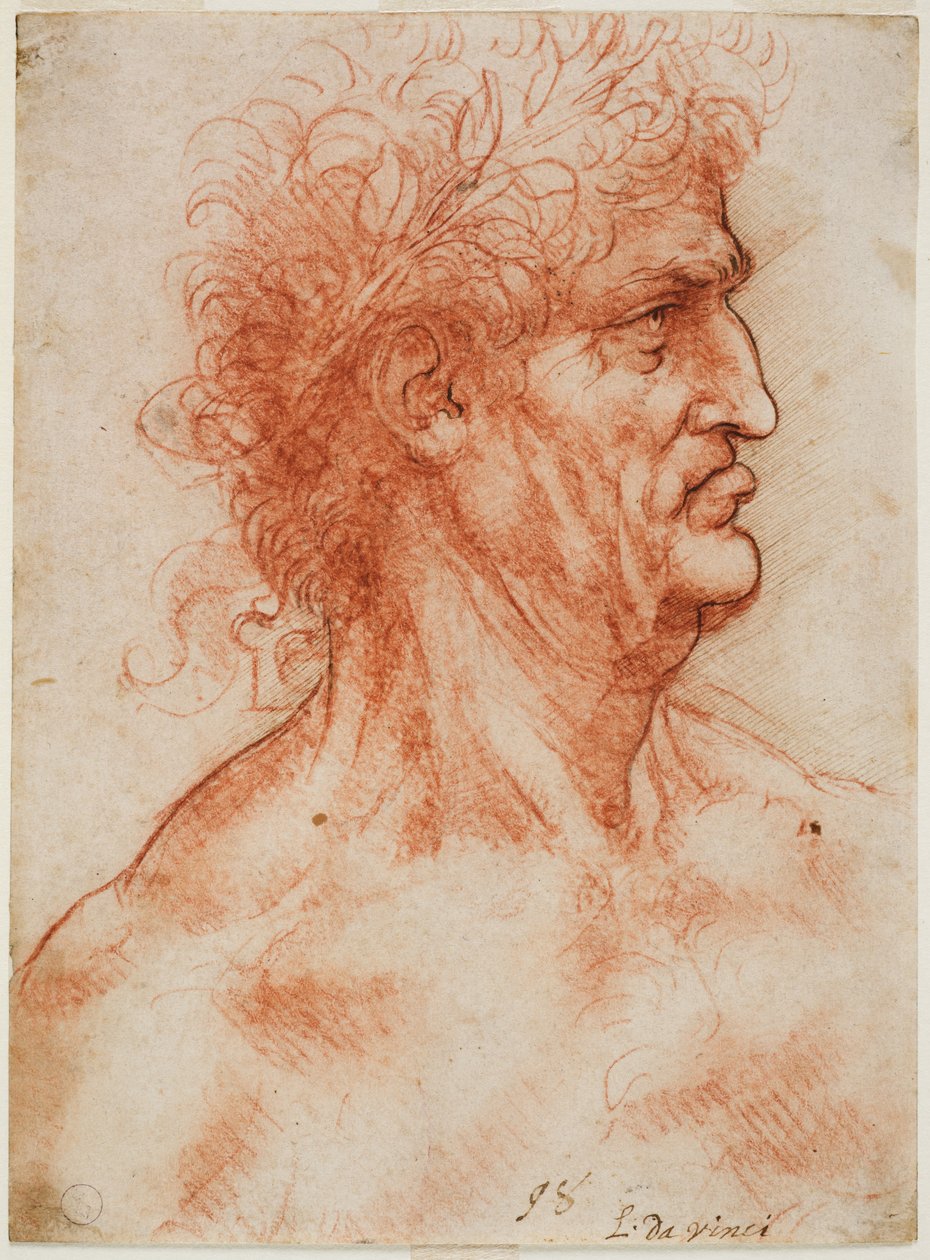 Virile Head in Profile Crowned with Laurel by Leonardo da Vinci