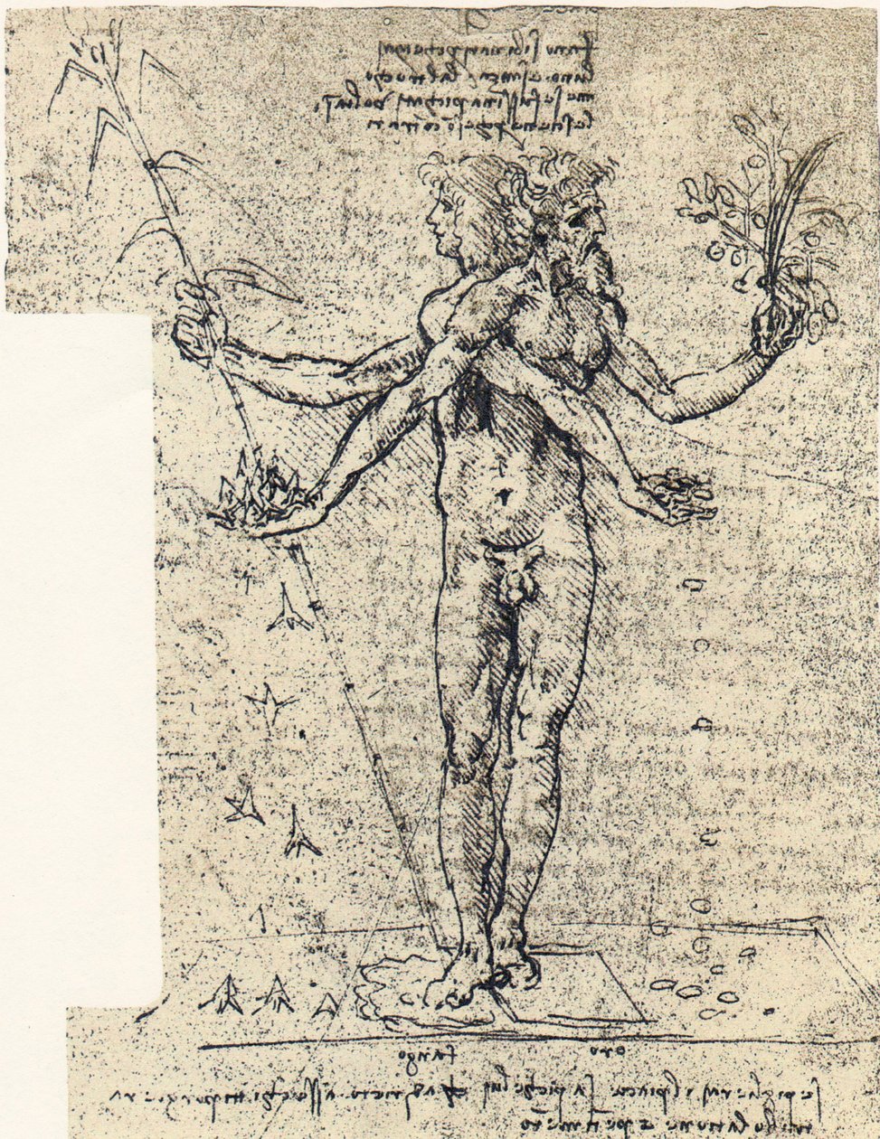 Unknown Drawing of Androgynous Corpus with Two Heads by Leonardo da Vinci