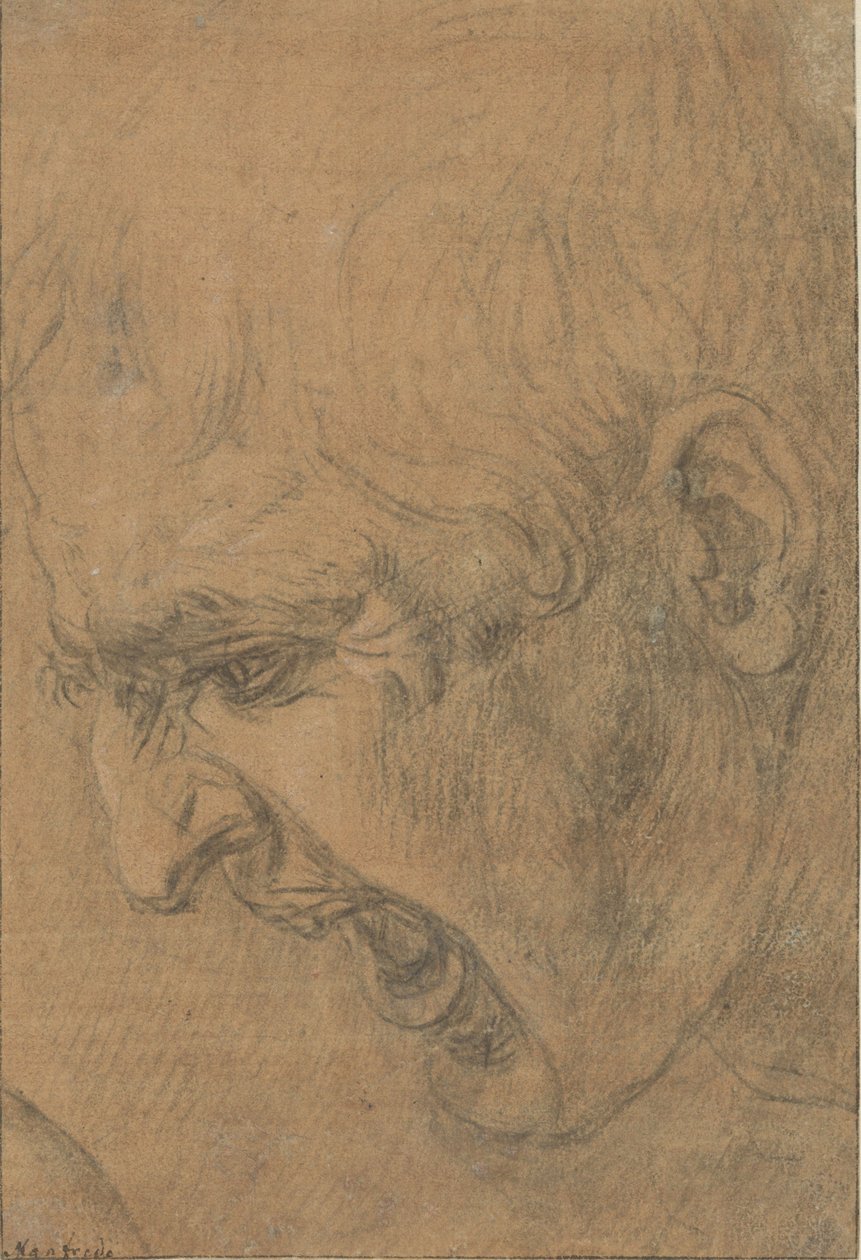 Head of a screaming man by Leonardo da (follower of) Vinci