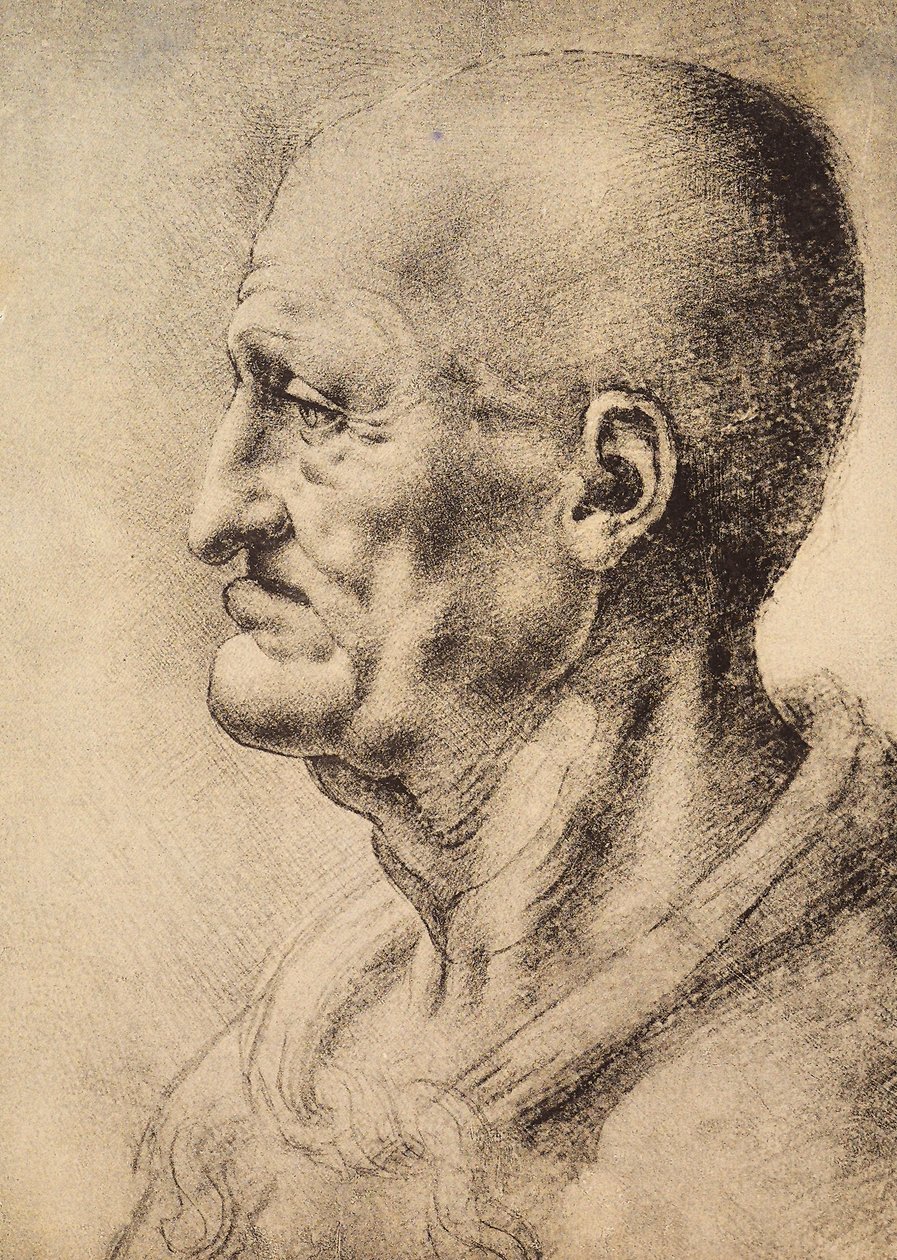 A Man Shown in Profile by Leonardo da Vinci