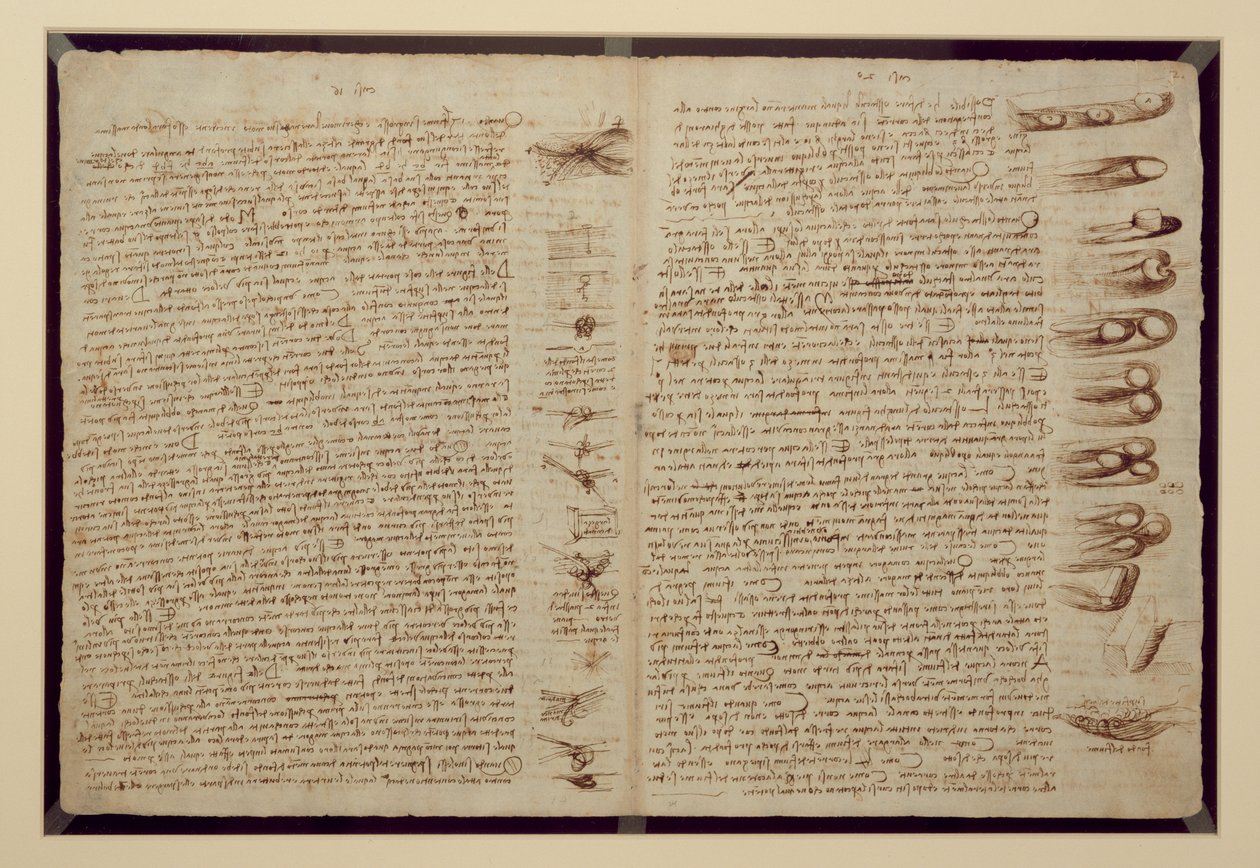 A Page from the Codex Leicester, 1508-12 by Leonardo da Vinci