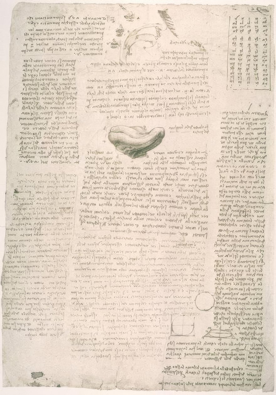 Anatomy Studies by Leonardo da Vinci