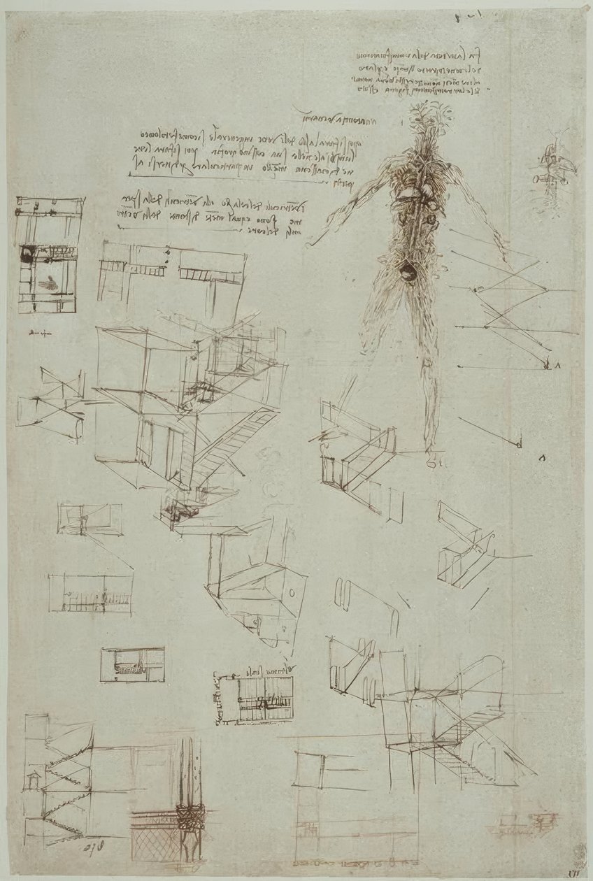 Anatomy Studies by Leonardo da Vinci