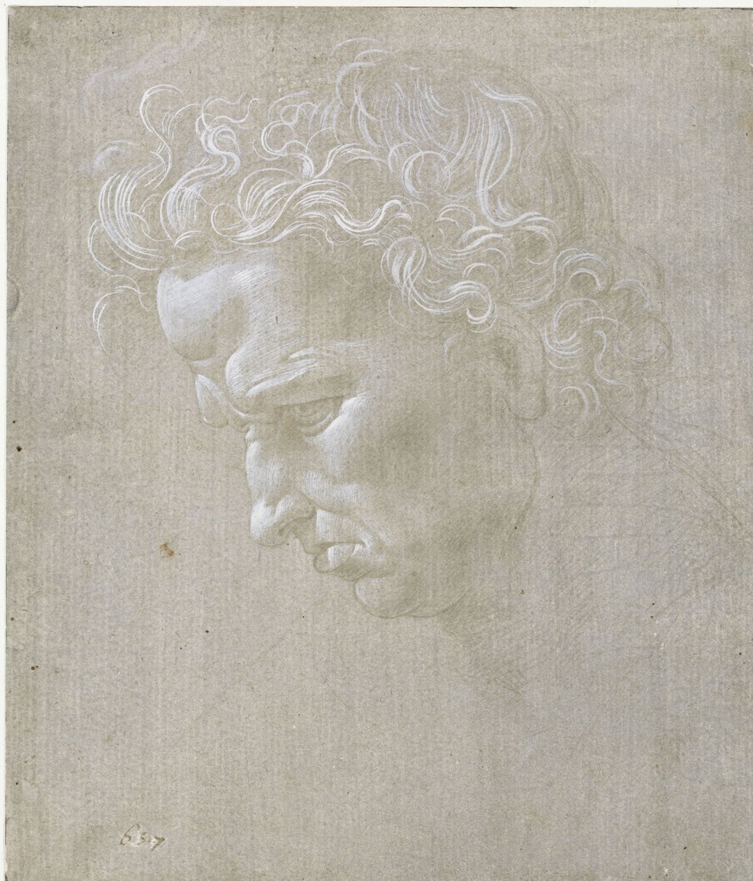 Expression Head of a Man in Profile by Leonardo da Vinci