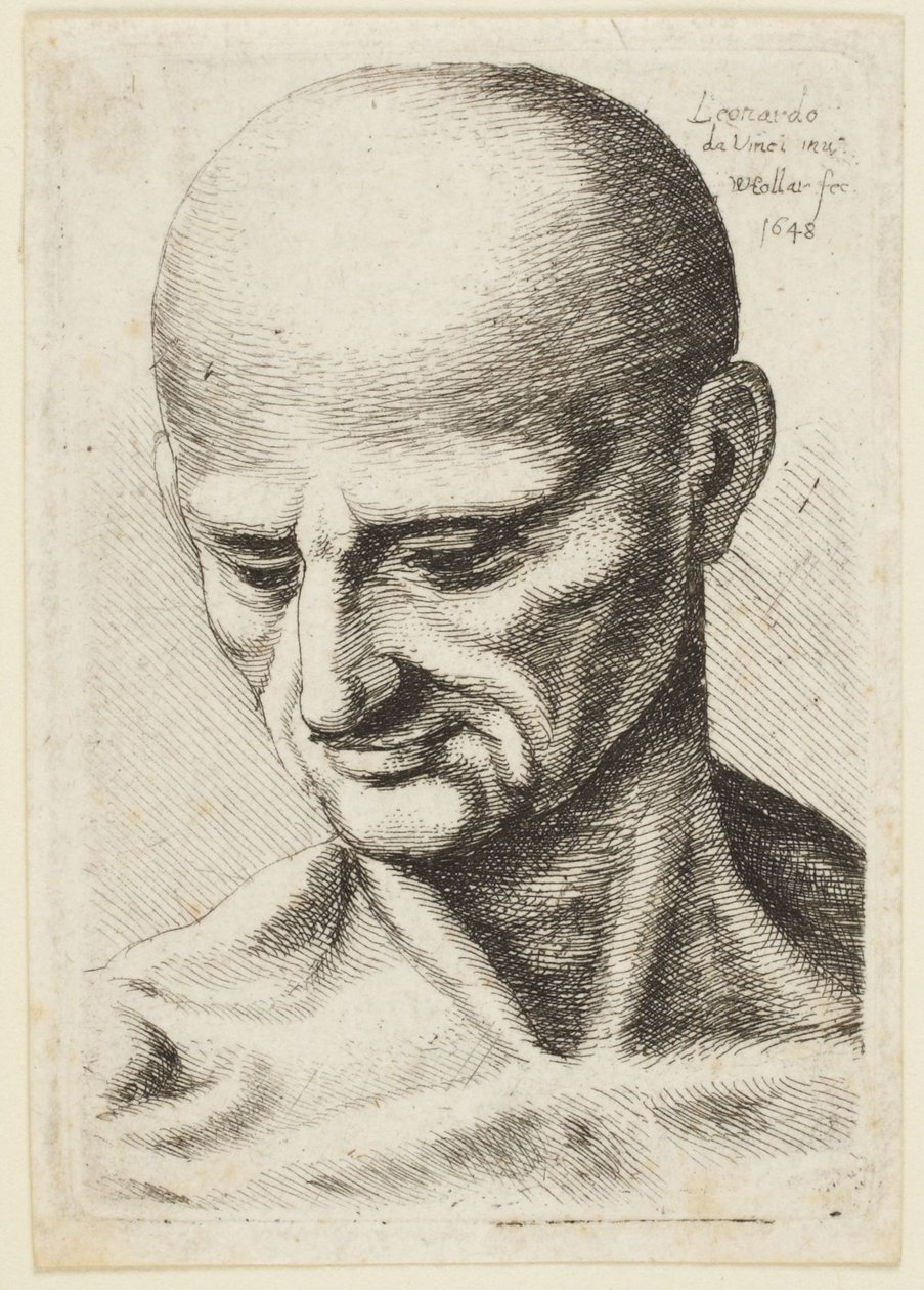 Bald-headed Man by Leonardo da Vinci