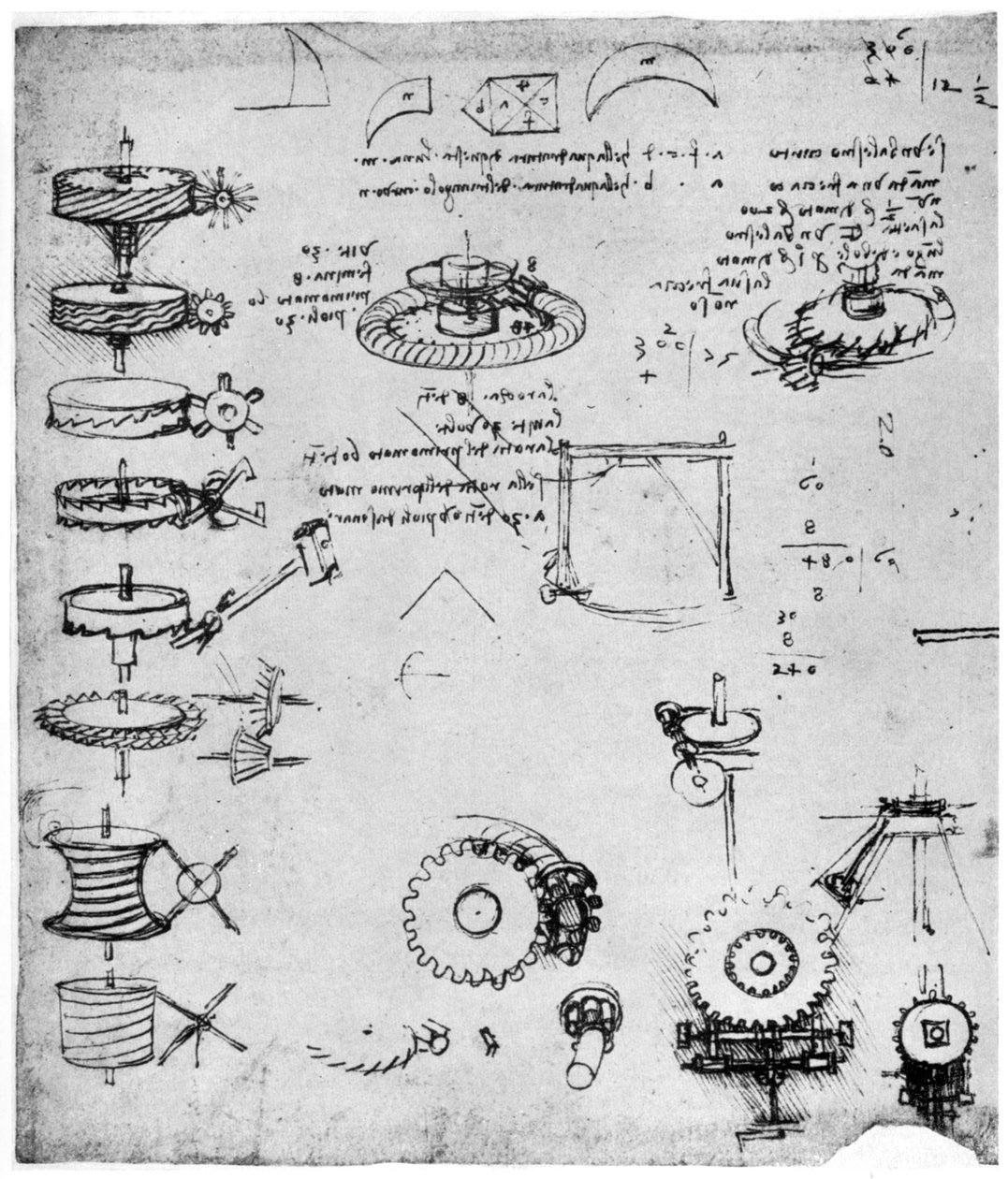 Cog Wheels (Detail) by Leonardo da Vinci