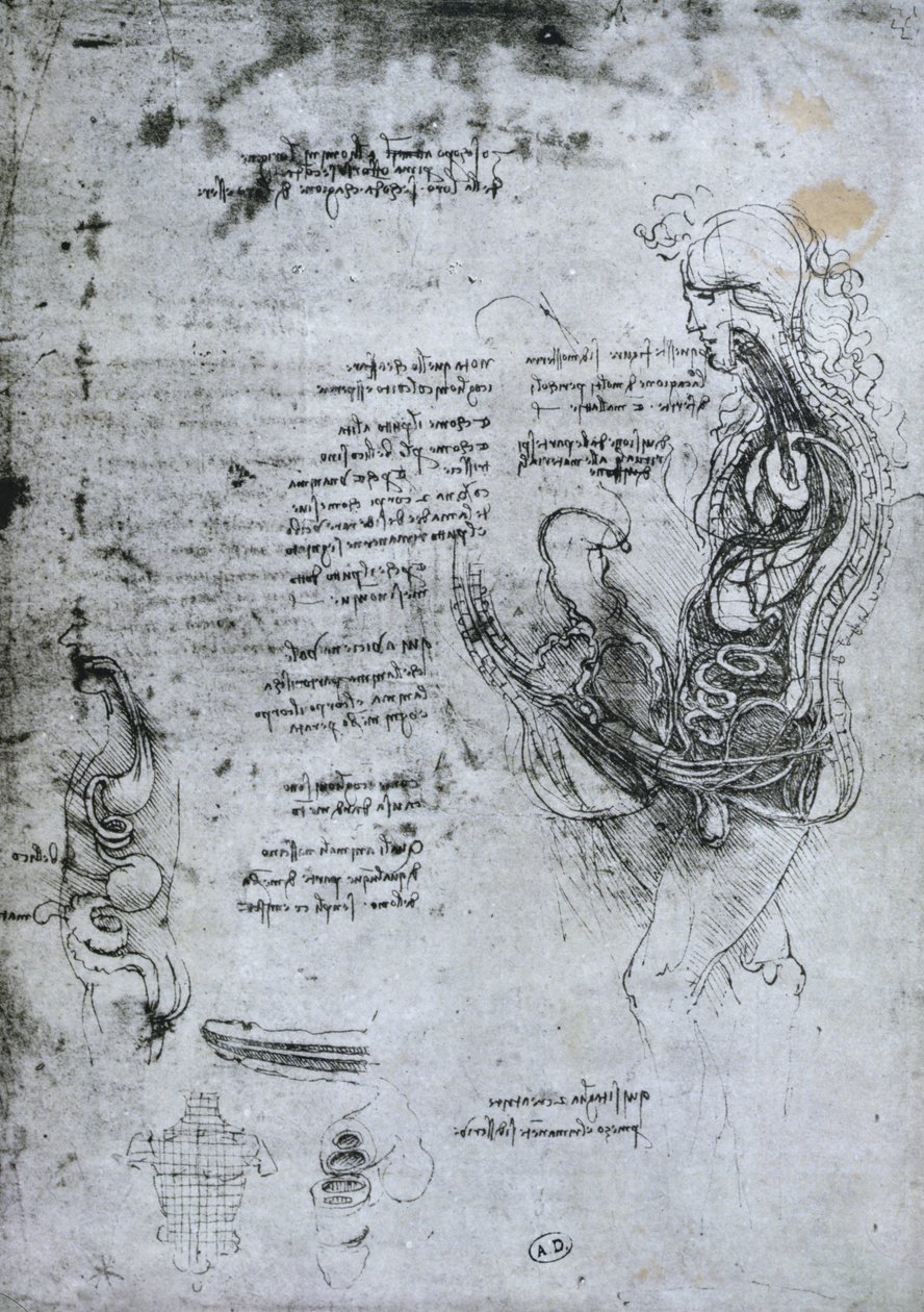 Coition of Hemisected Man and Woman, Facsimile Copy by Leonardo da Vinci