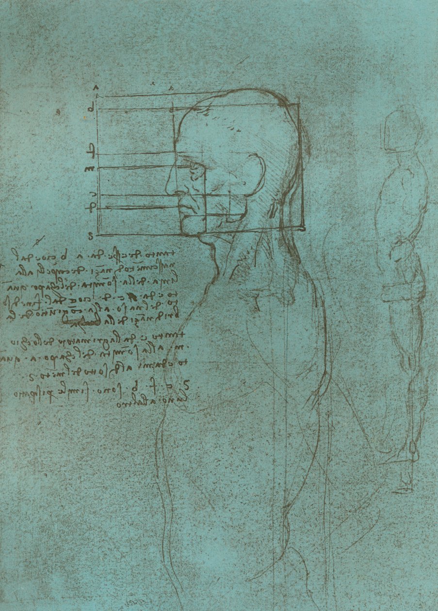 Drawing Illustrating the Theory of the Proportions of the Human Figure by Leonardo da Vinci
