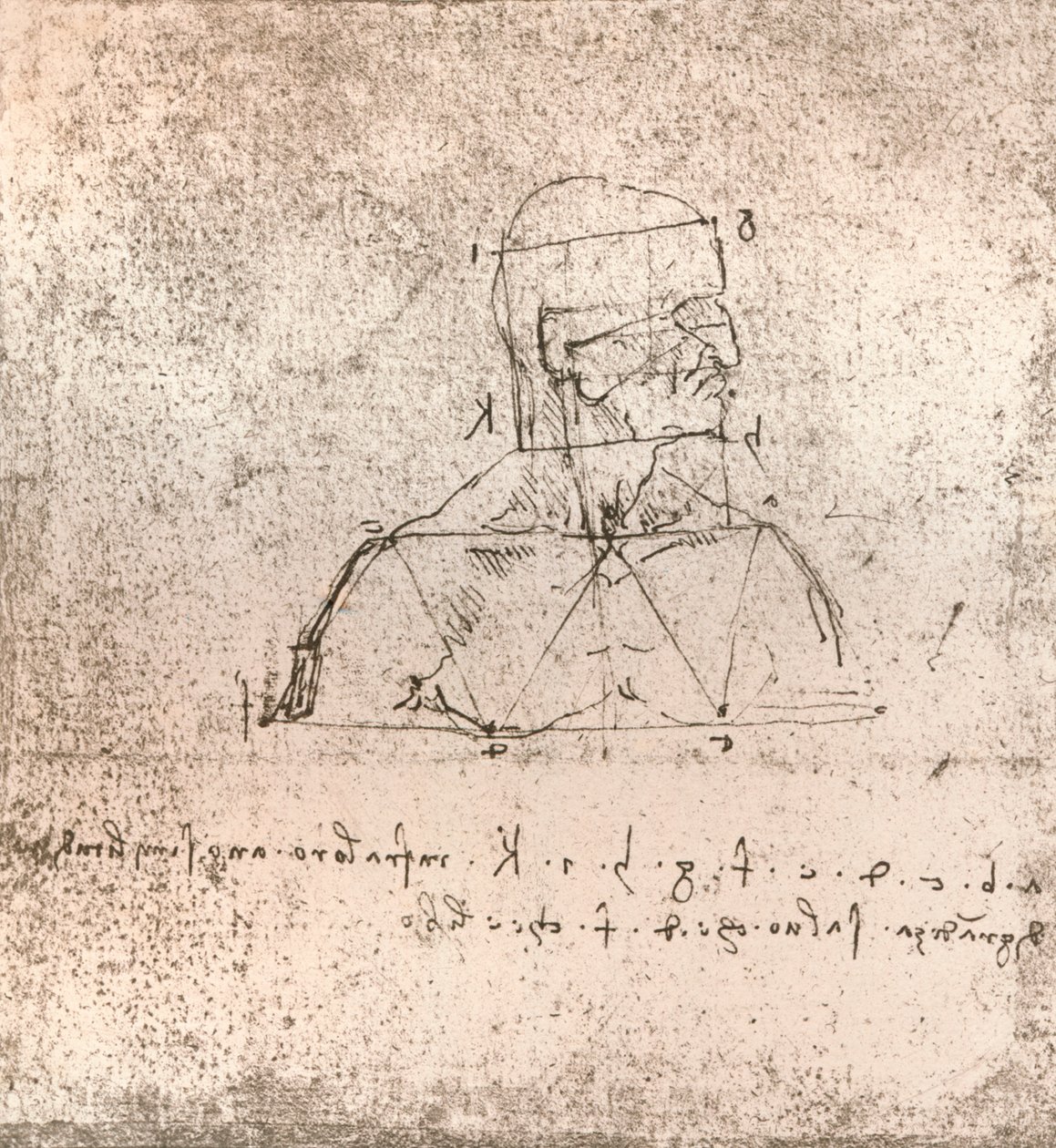 Drawing illustrating the theory of the proportions of the human figure, c1472-c1519, 1883 by Leonardo da Vinci