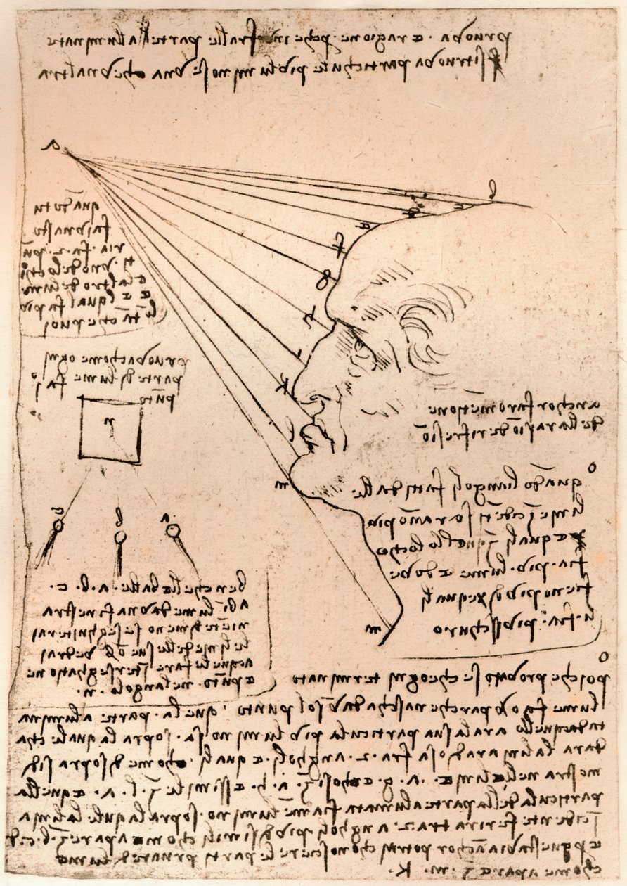 Drawing of a male head, illustrating the practice of painting, c1472-c1519 by Leonardo da Vinci