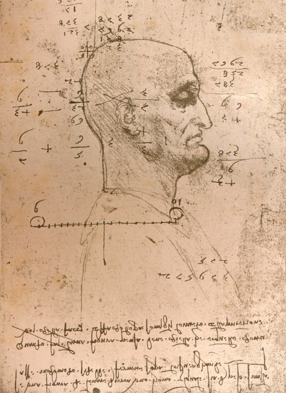 Drawing of the Head of a Criminal, c1472-c1519 by Leonardo da Vinci