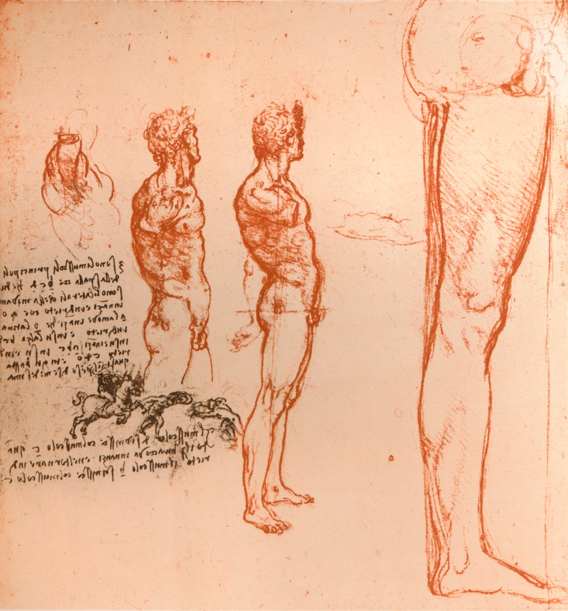 Drawings Showing the Movements of the Human Figure and Warriors Fighting