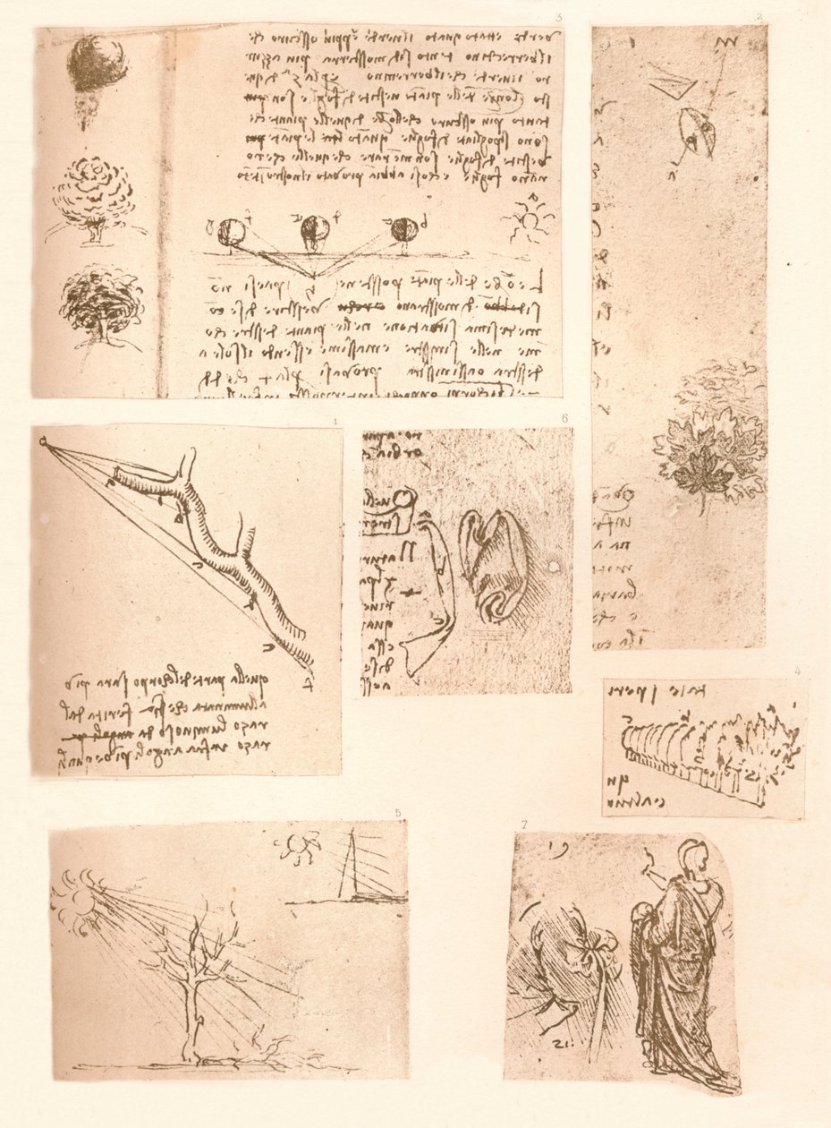 Five Drawings Illustrating the Elements of Landscape Painting by Leonardo da Vinci