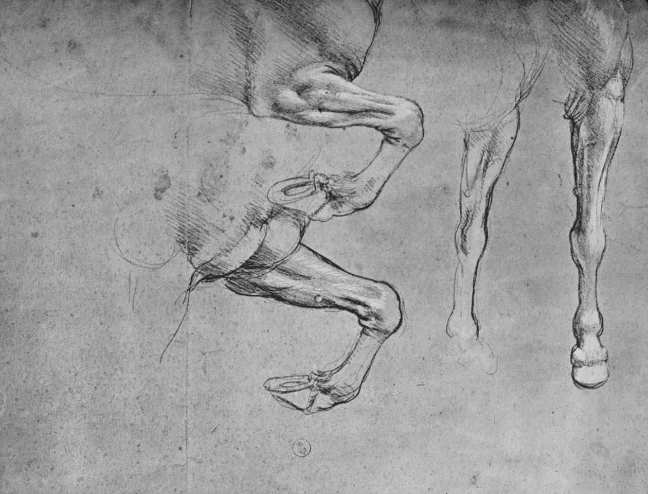 Four Studies of Horses Legs by Leonardo da Vinci