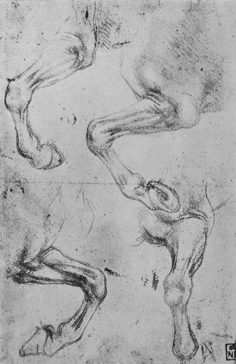 Four Studies of Horses Legs by Leonardo da Vinci