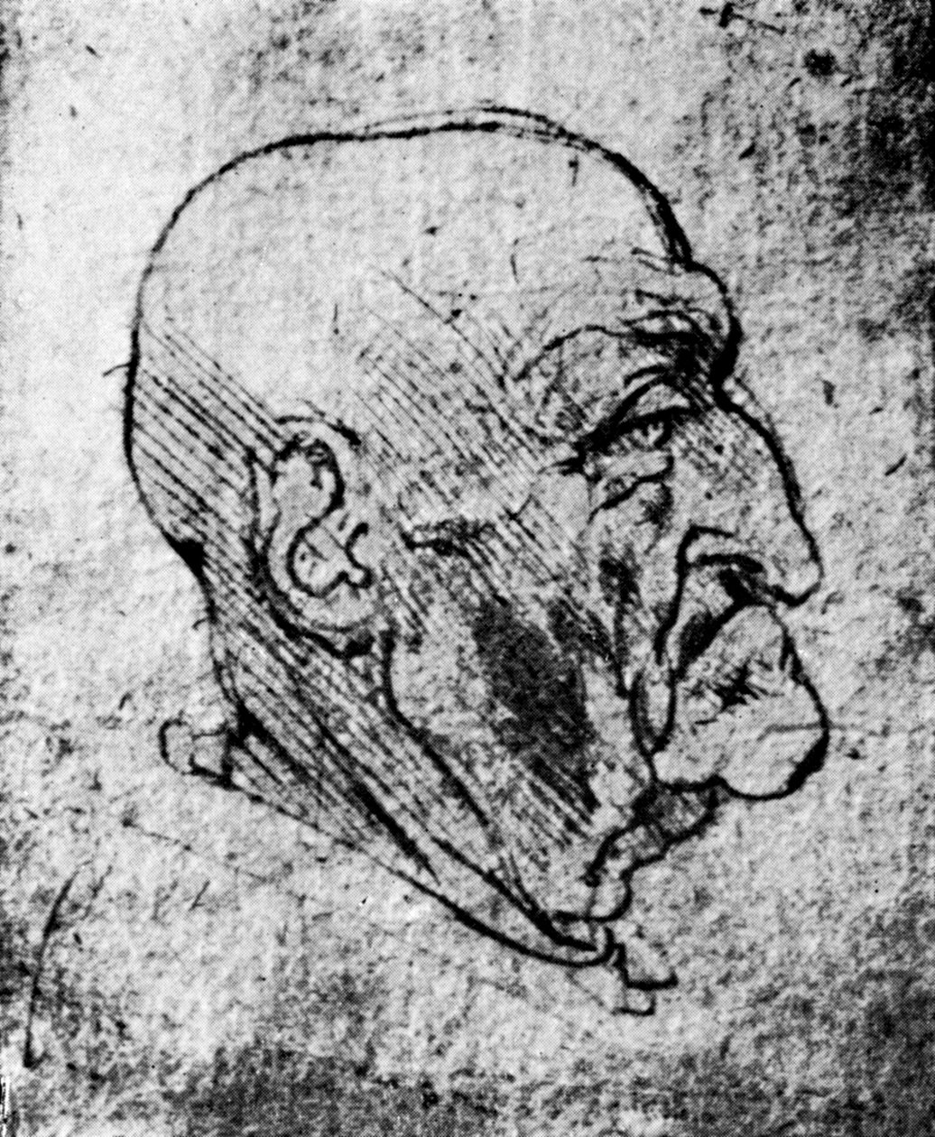Head of an Old Man, 1913 by Leonardo da Vinci