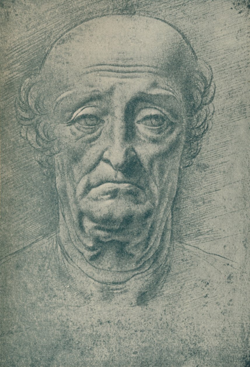 Head of an Old Man, c15th Century, 1932 by Leonardo da Vinci