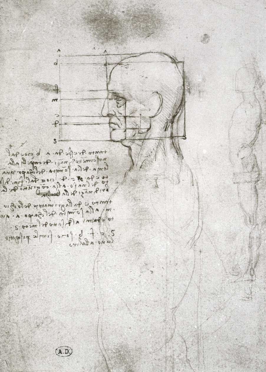 Head of an Old Man in Profile, facsimile copy by Leonardo da Vinci