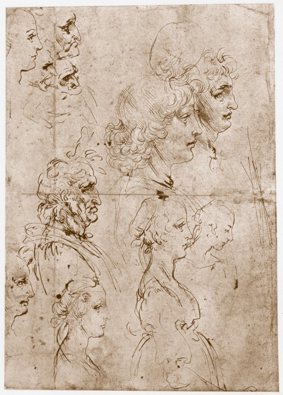 Heads of Girls, Young and Old Men, 1478-1480 by Leonardo da Vinci
