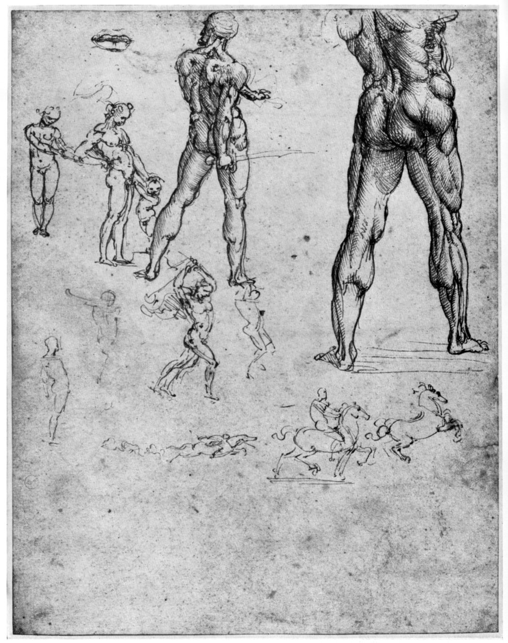 Nude studies for The Battle of Anghiari, c1503-1505 by Leonardo da Vinci