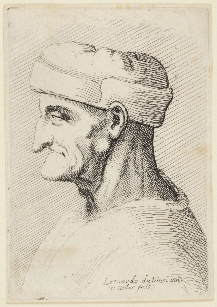 Old Man in Cap by Leonardo da Vinci