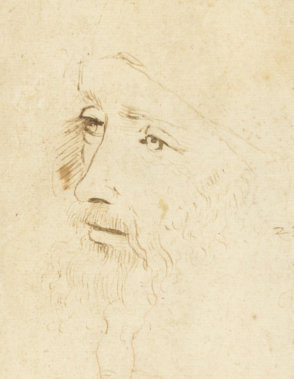 Portrait of Leonardo da Vinci by Leonardo da Vinci,