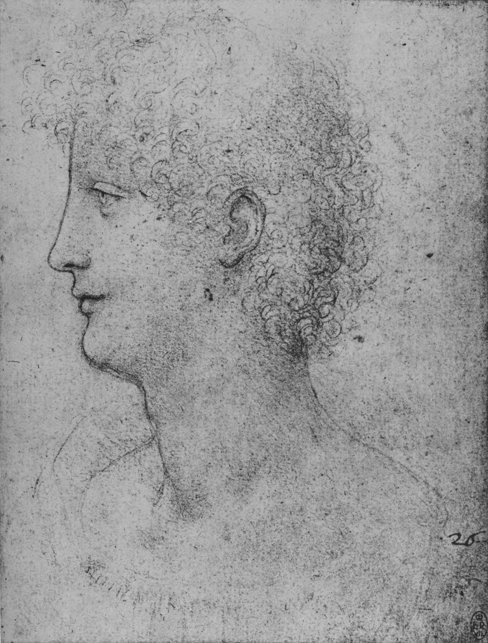 Profile to the Left of a Curly-Headed Youth by Leonardo da Vinci