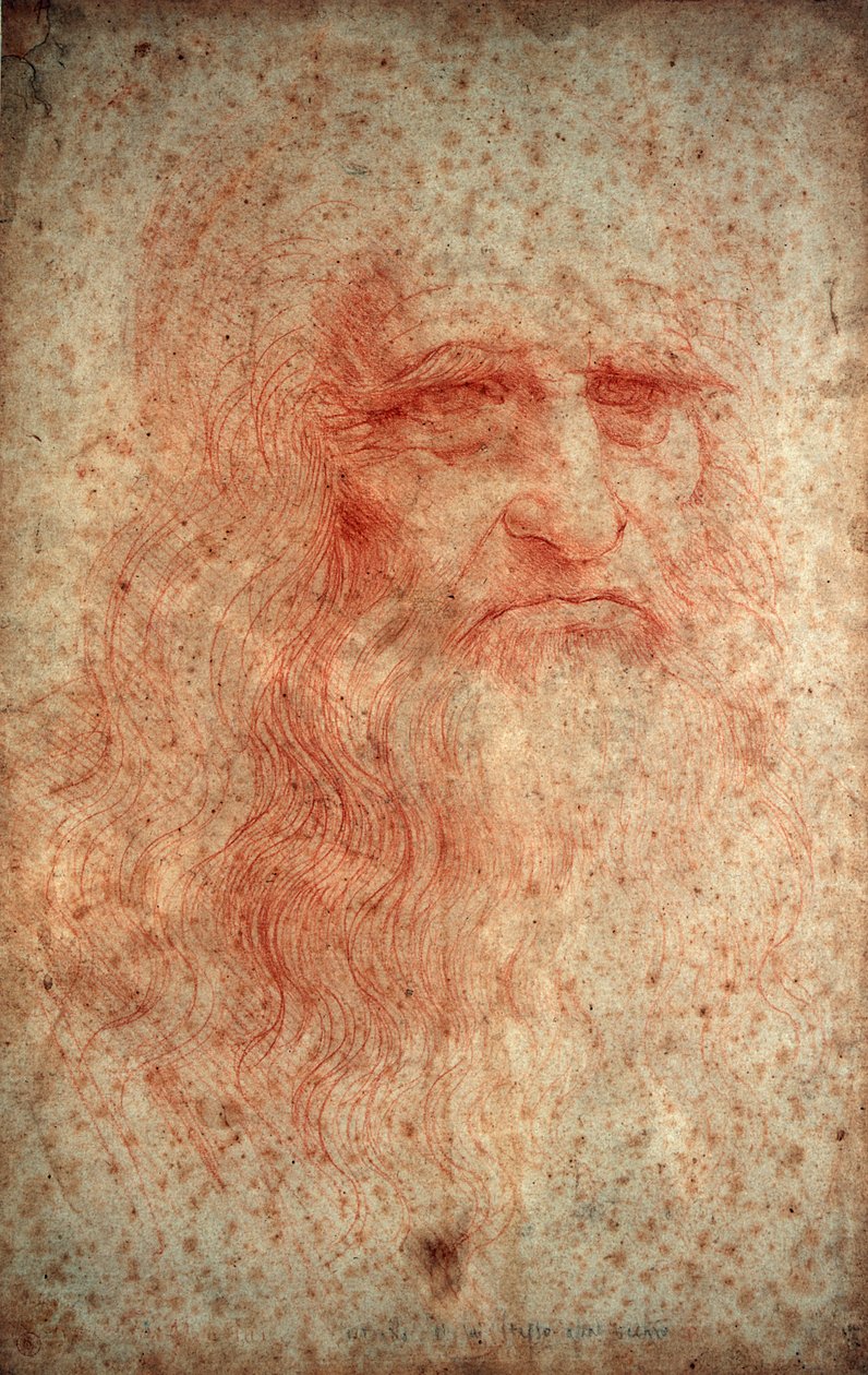 Self Portrait of Leonardo da Vinci by Leonardo da Vinci