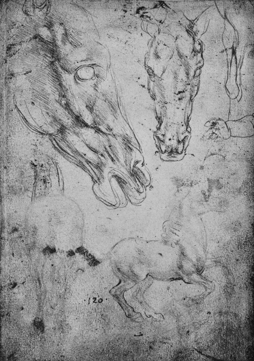 Studies of Horses and of Horses