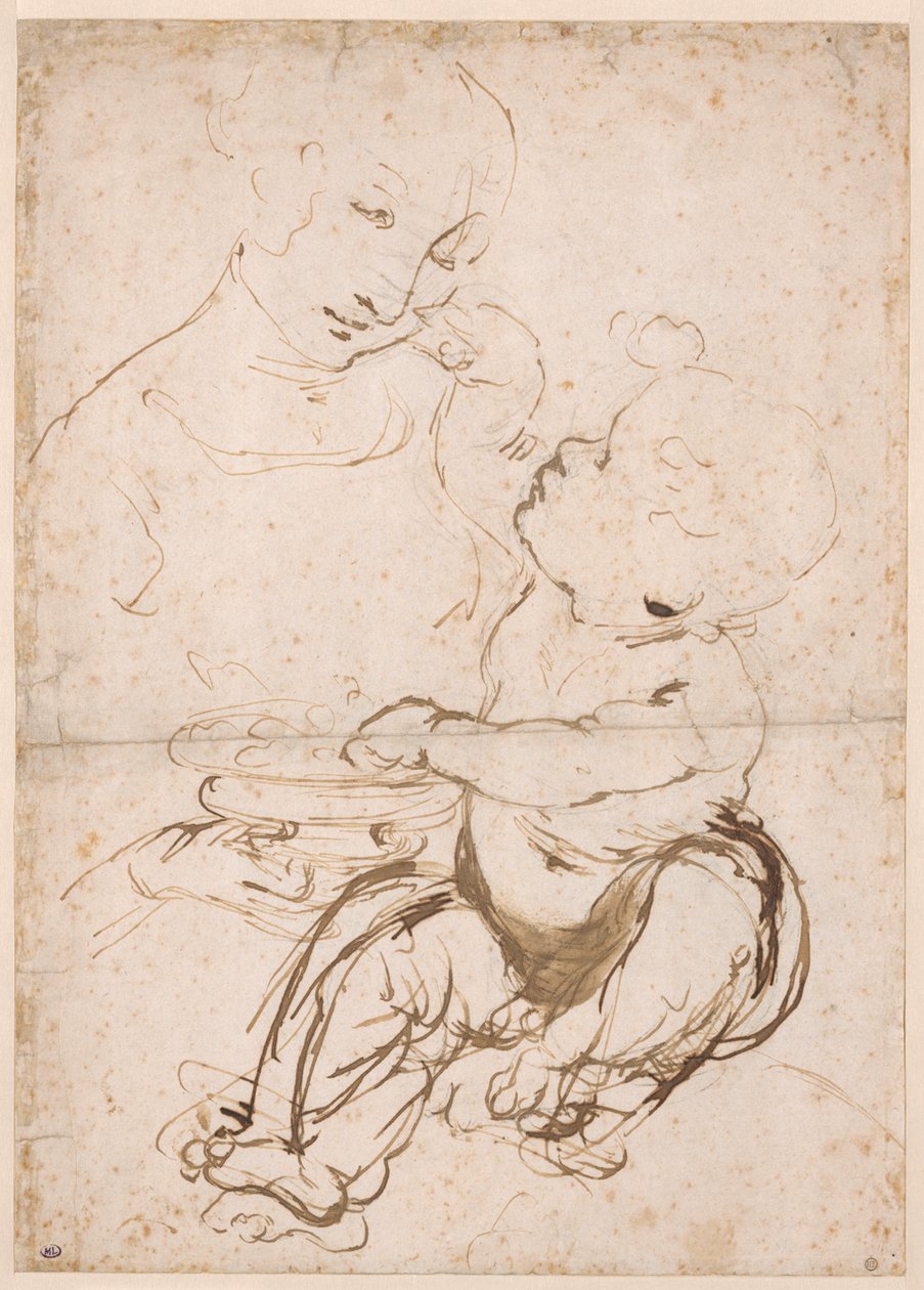 Study for the Madonna with a Fruit Bowl by Leonardo da Vinci