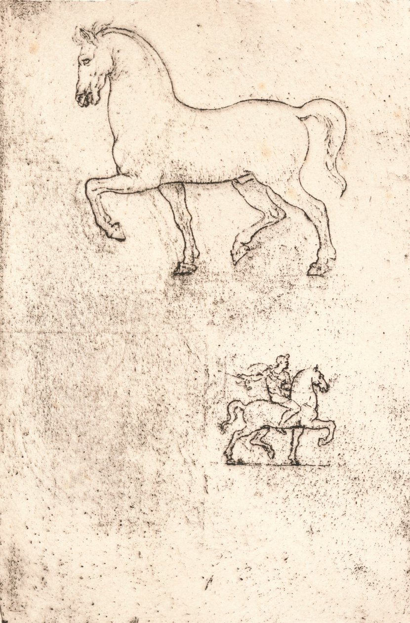 Study for the Sforza Monument, c1482-c1499, 1883 by Leonardo da Vinci