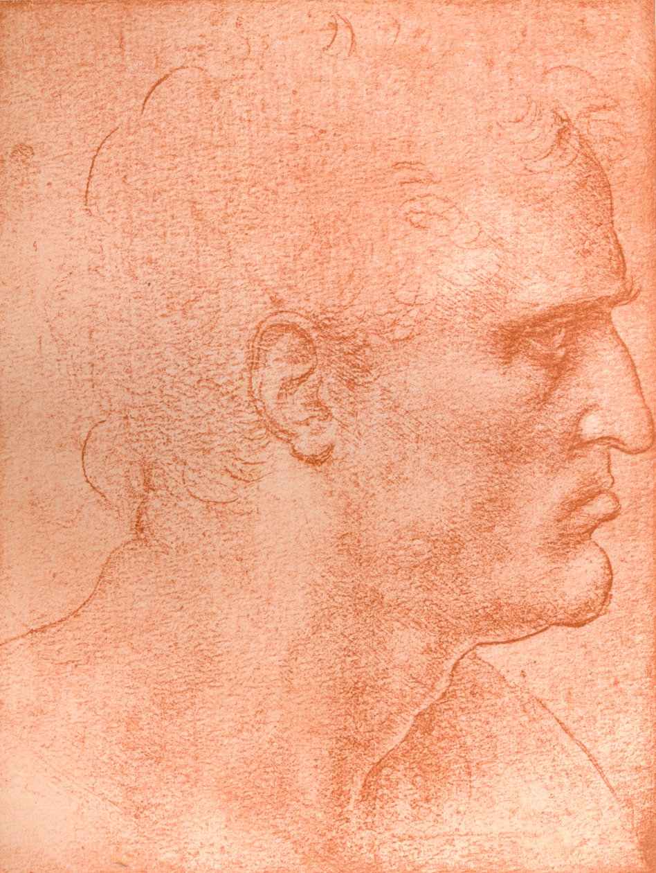 Study for the head of St Matthew in 