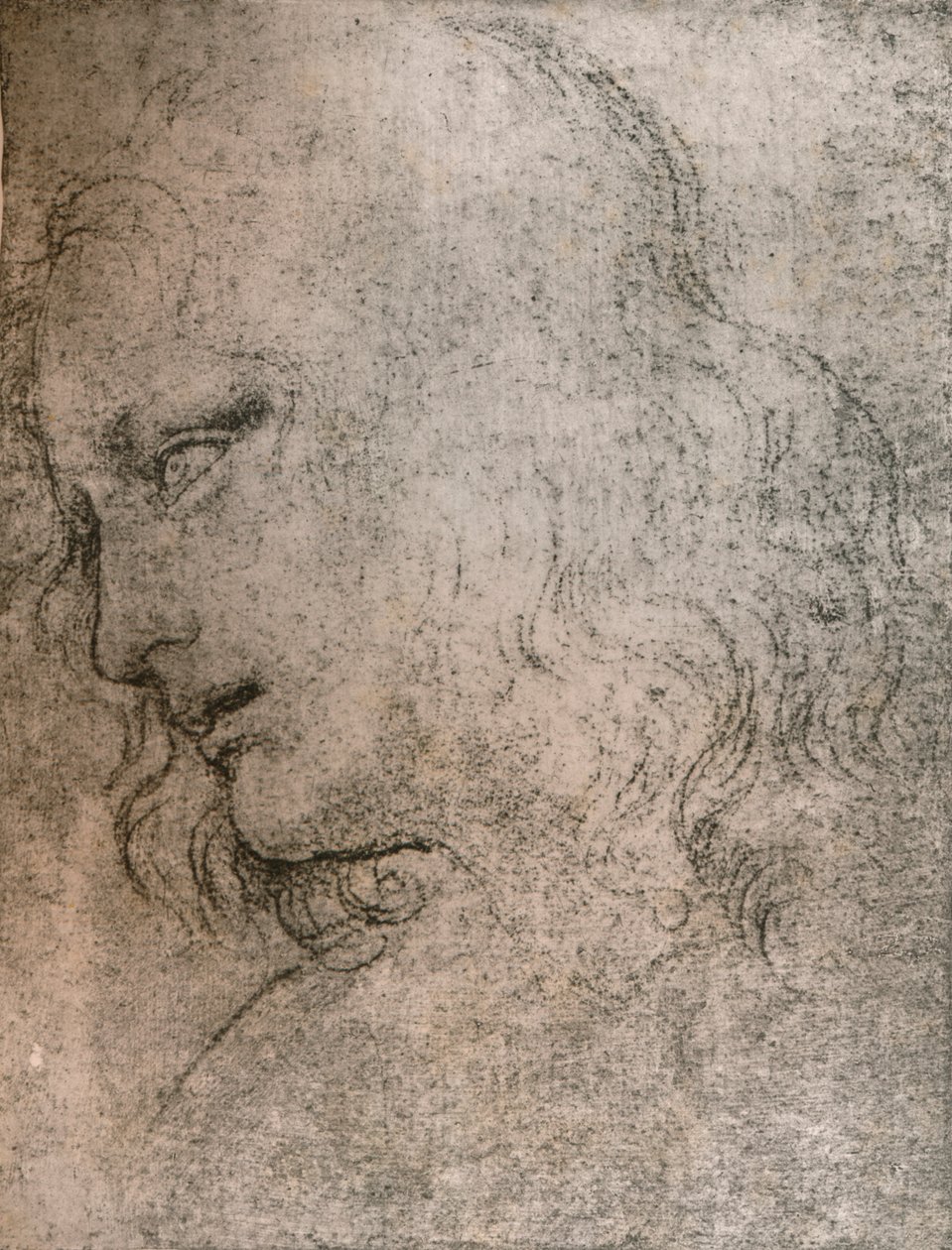 Study for the Head of St Philip in 