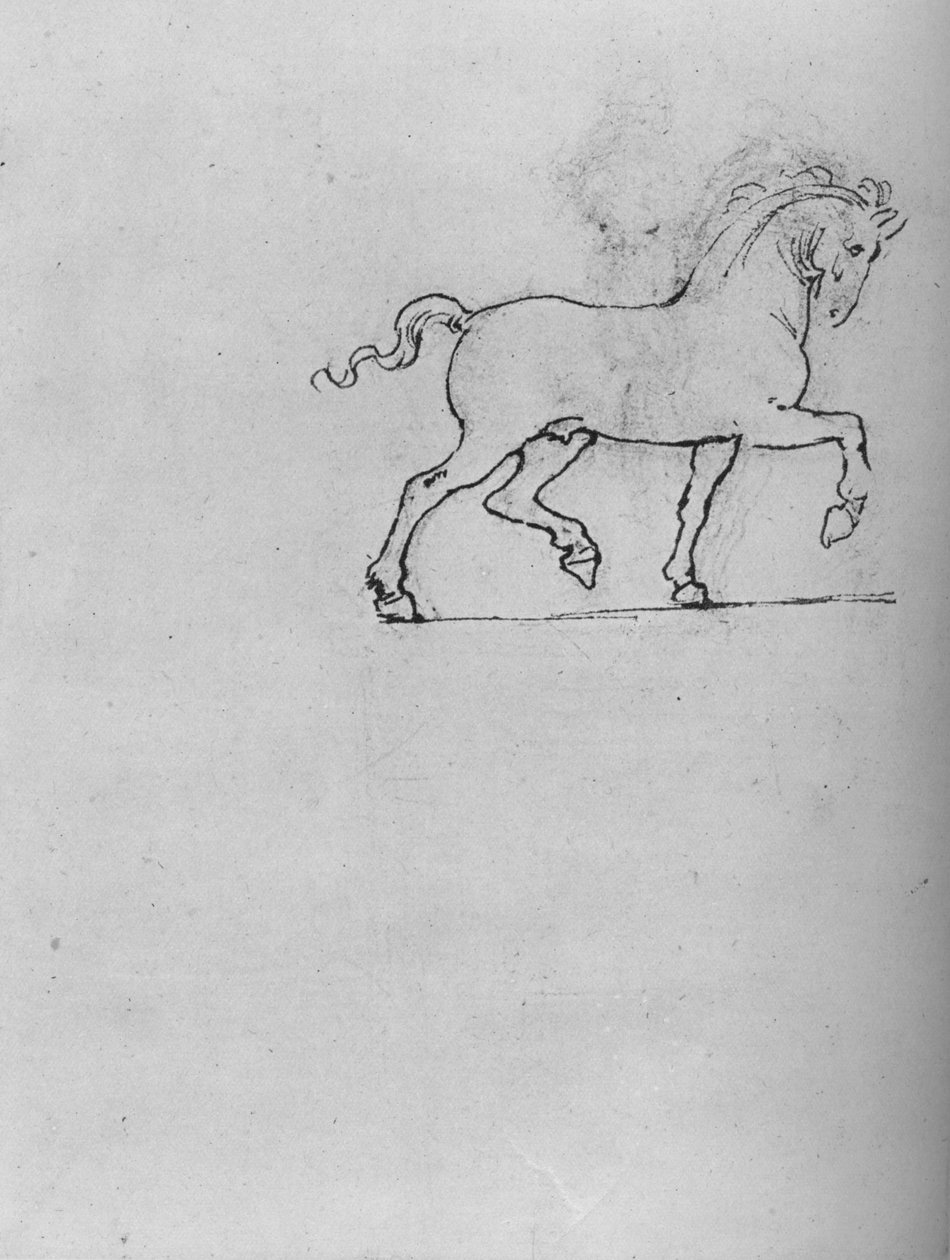 Study of a Horse, c1480 1945 by Leonardo da Vinci