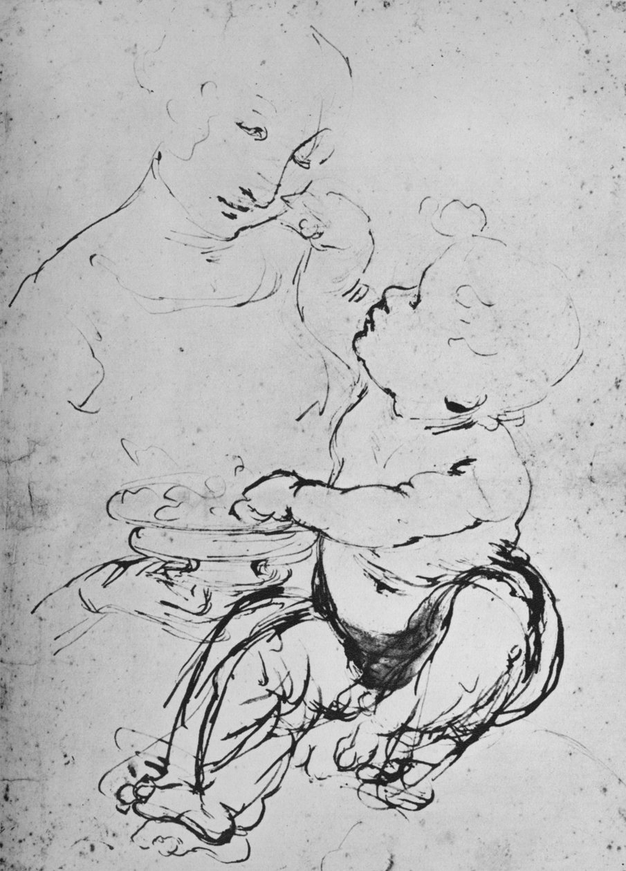 The Madonna and Child with a Bowl of Fruit, 1478 by Leonardo da Vinci