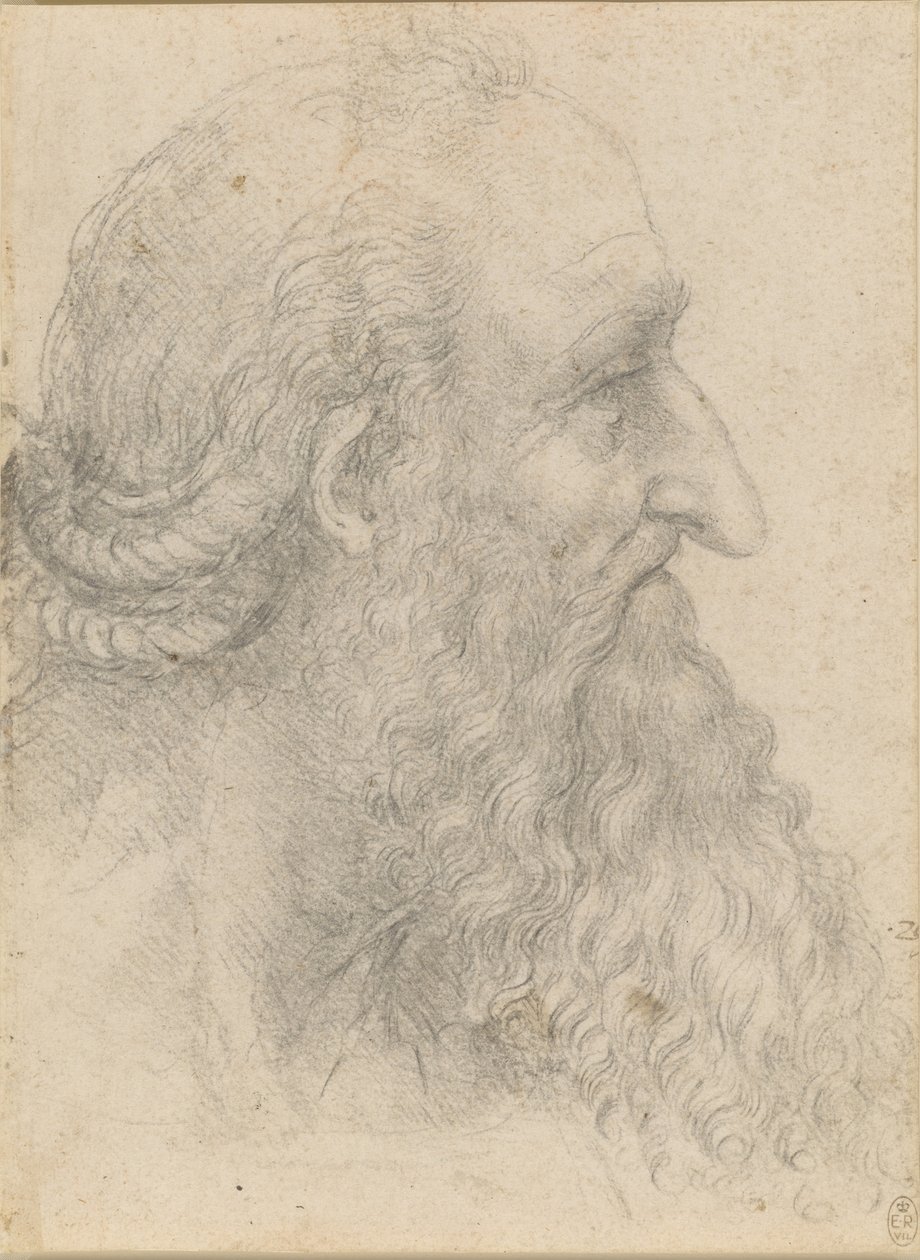 The head of an old bearded man by Leonardo da Vinci