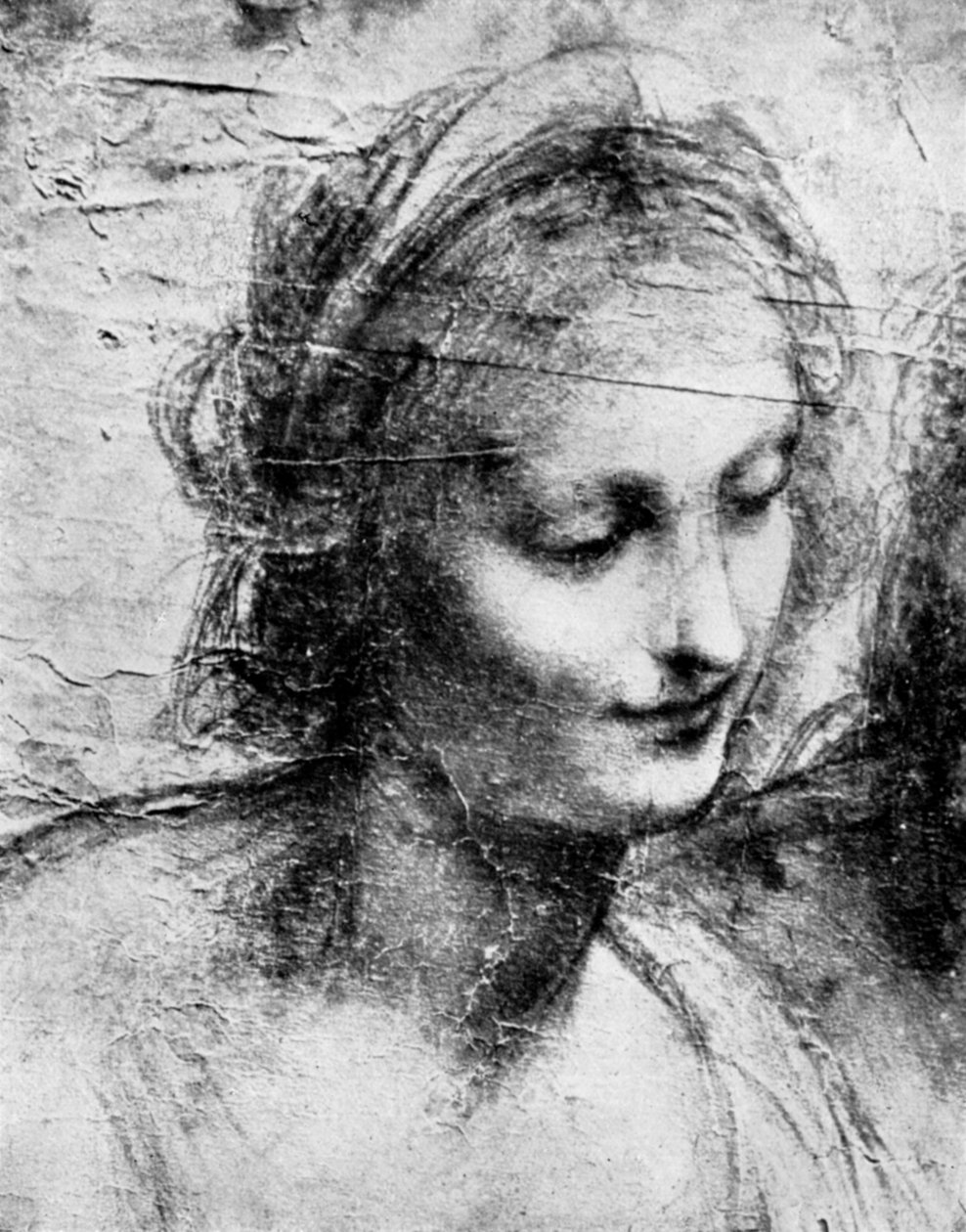 The Head of the Madonna by Leonardo da Vinci