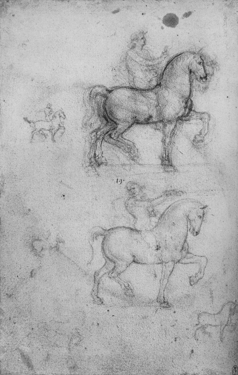 Two Studies of Horses and Riders and Smaller Studies of Horses by Leonardo da Vinci