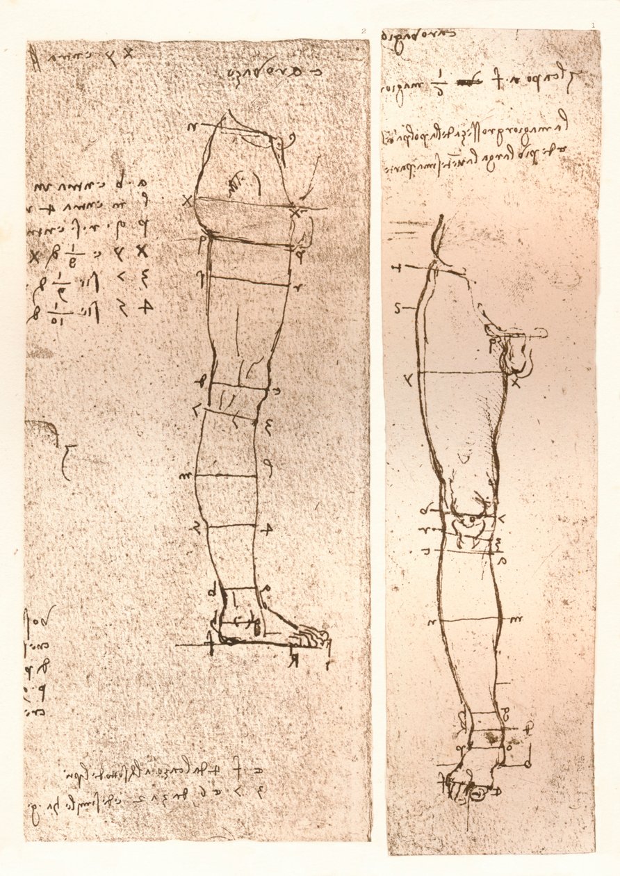 Two Drawings Illustrating the Theory of the Proportions of the Human Figure by Leonardo da Vinci