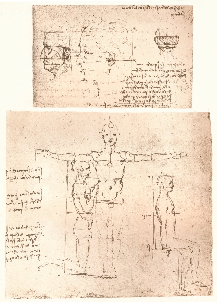 Two Drawings Illustrating the Theory of the Proportions of the Human Figure by Leonardo da Vinci