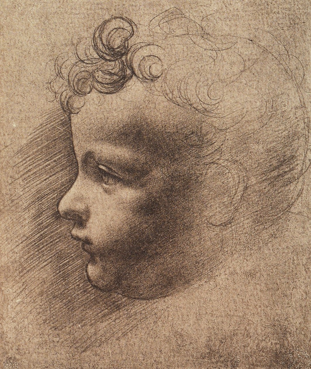 Head of a small boy by Leonardo da school of Vinci