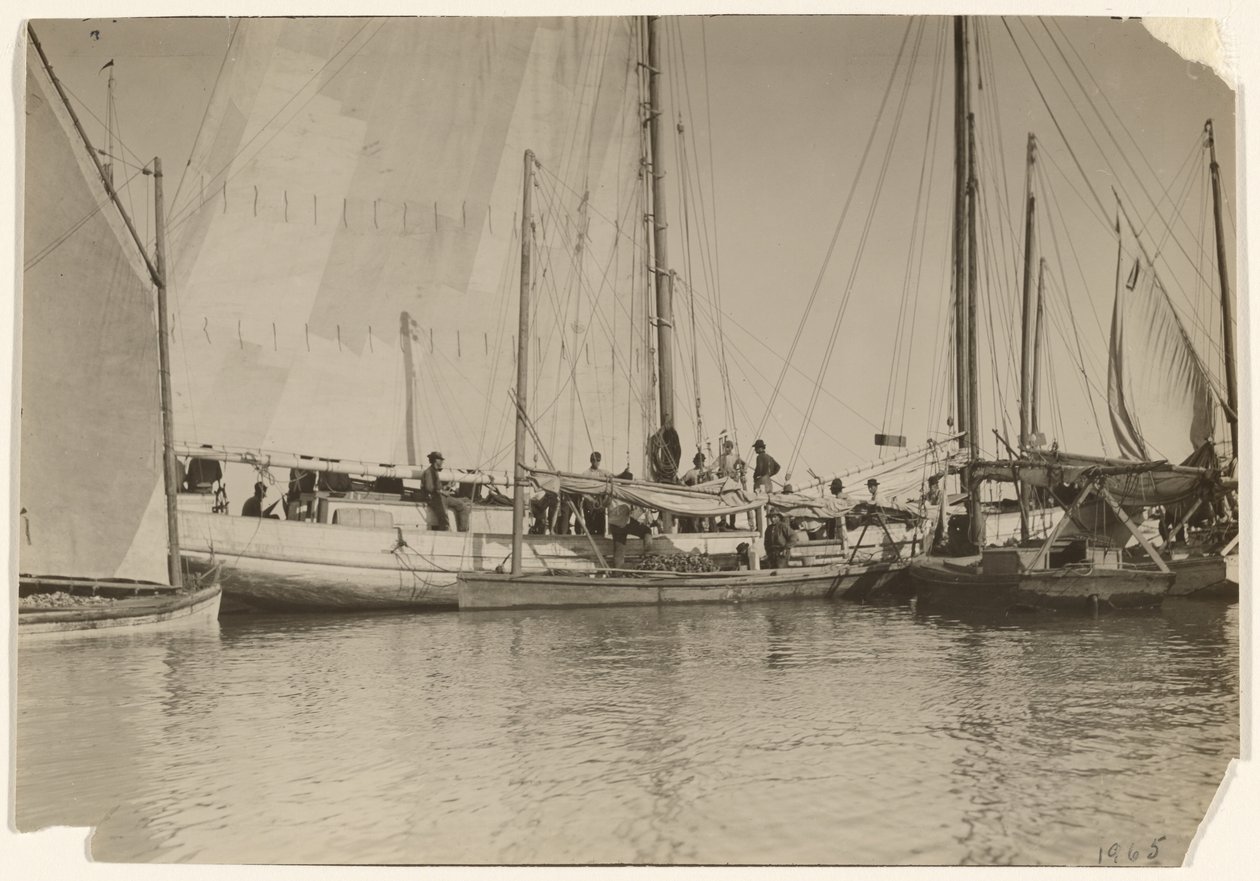 Oyster Boats, Mobile Bay, Alabama by Lewis W. Hine