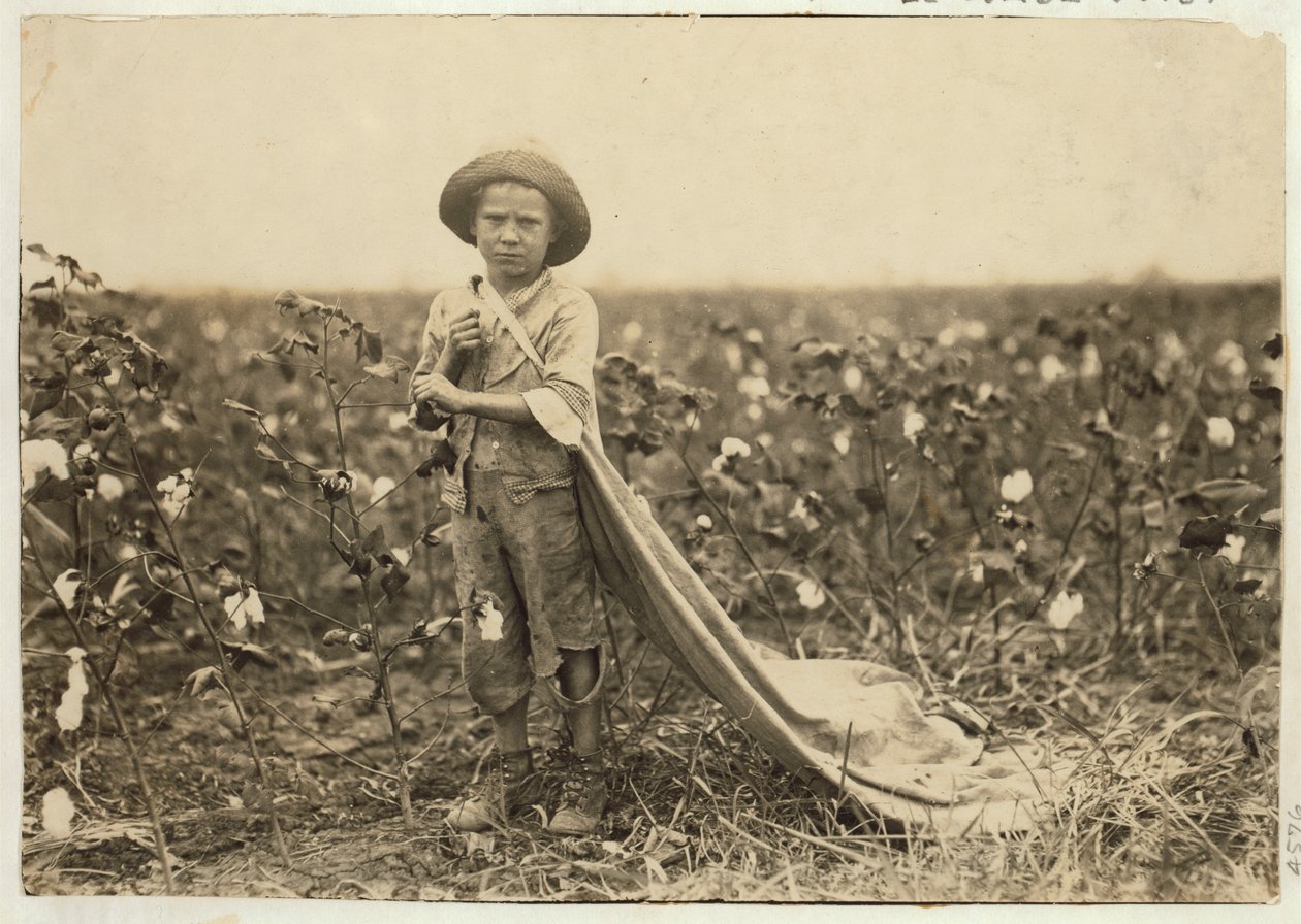 6-year old Warren Frakes with about 20 pounds of cotton in his bag at Comanche County, Oklahoma, 1916 by Lewis Wickes Hine