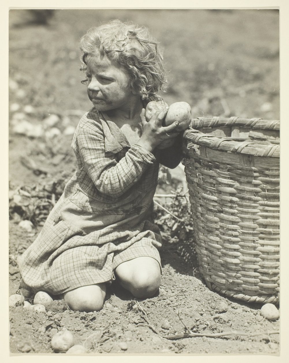Child Labor on the Farm by Lewis Wickes Hine