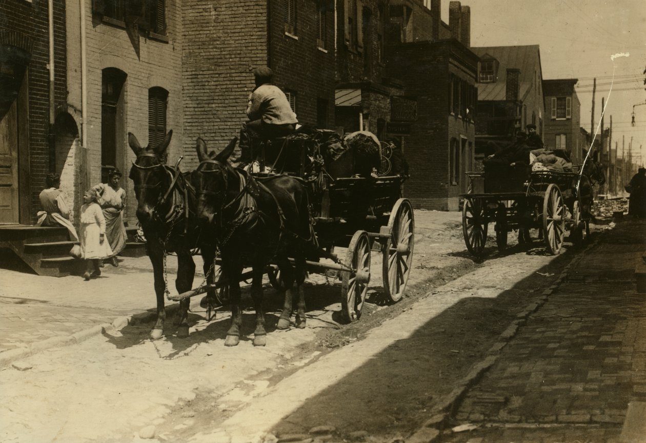 Horse-Drawn Carriages in Fell