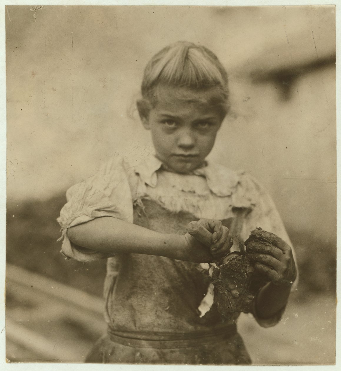 Rosie, Aged 7, Illiterate, Working for a Second Year as an Oyster Shucker at Varn und Platt Canning Company, Bluffton, South Carolina by Lewis Wickes Hine