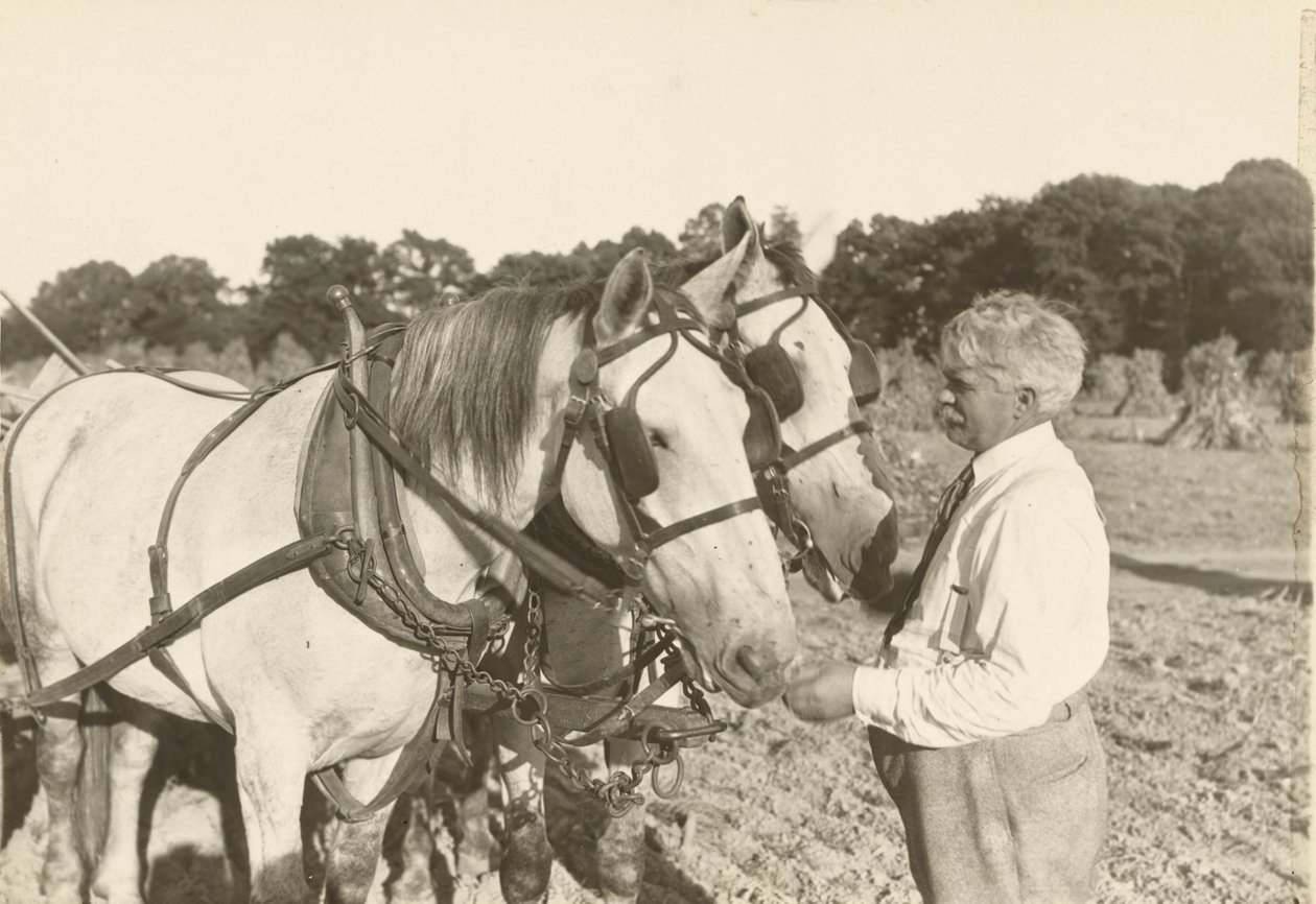 Untitled, ca. 1935 by Lewis Wickes Hine